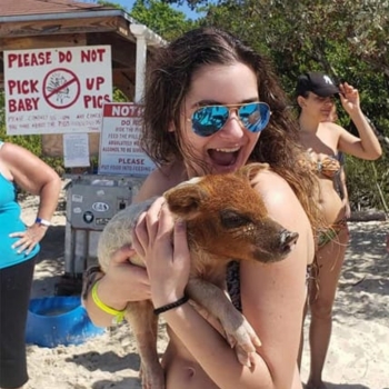 Swim With the Pigs Boat Tour